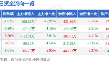 股票行情快报：国网英大（600517）5月22日主力资金净卖出906.62万元