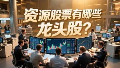 资源股票有哪些龙头股？谁在收割周期红利？谁在刀尖舔血？
