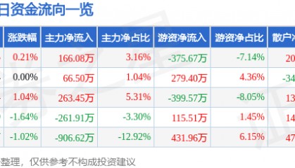 股票行情快报：国网英大（600517）5月28日主力资金净买入166.08万元