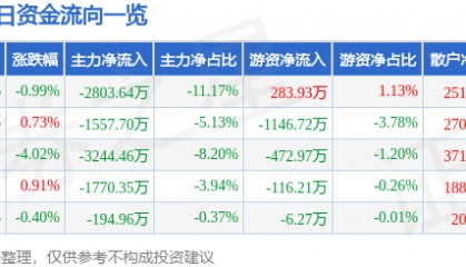 股票行情快报：润欣科技（300493）5月19日主力资金净卖出2803.64万元