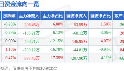 股票行情快报：新疆天业（600075）3月19日主力资金净买入206.46万元