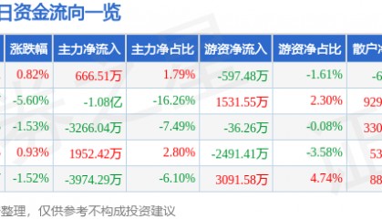 股票行情快报：鹏欣资源（600490）9月19日主力资金净买入666.51万元