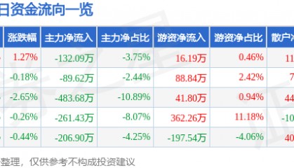 股票行情快报：瑞泰科技（002066）2月17日主力资金净卖出132.09万元