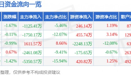 股票行情快报：申能股份（600642）1月13日主力资金净卖出1125.41万元