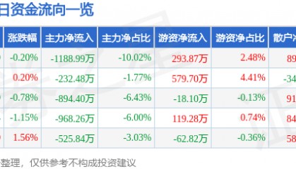 股票行情快报：吉电股份（000875）3月4日主力资金净卖出1188.99万元