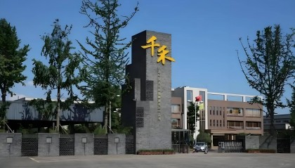 千禾味业：酱油黑马丢失速度