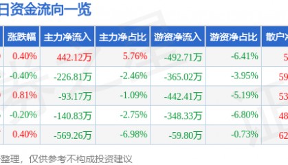 股票行情快报：国网英大（600517）6月11日主力资金净买入442.12万元