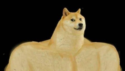 doge是什么意思(doge是什么意思表情)