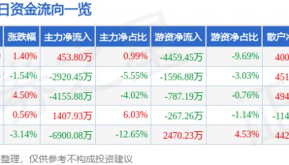 股票行情快报：山金国际（000975）8月6日主力资金净买入453.80万元