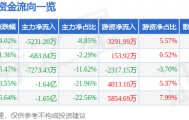 股票行情快报：云意电气（300304）7月8日主力资金净卖出5231.20万元