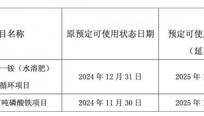 中核钛白叫停50万吨/年磷酸铁项目