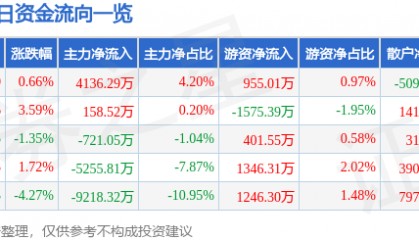 股票行情快报：鹏欣资源（600490）9月2日主力资金净买入4136.29万元