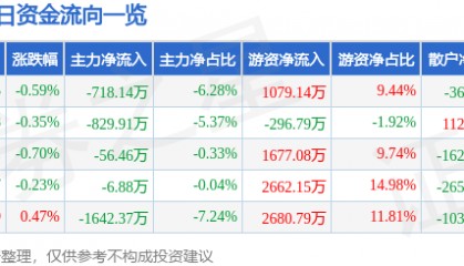 股票行情快报：申能股份（600642）2月13日主力资金净卖出718.14万元