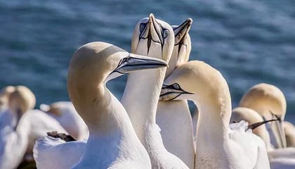 每周股票复盘：富维股份（600742）股东户数增加，参与投资基金完成备案