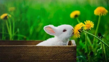 每周股票复盘：包钢股份（600010）股东户数减少，控股股东质押62100万股