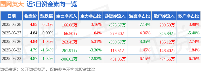 股票行情快报：国网英大（600517）5月28日主力资金净买入166.08万元