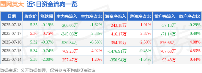 股票行情快报：国网英大（600517）7月18日主力资金净卖出206.05万元