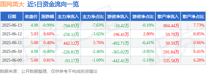 股票行情快报：国网英大（600517）6月13日主力资金净卖出794.03万元