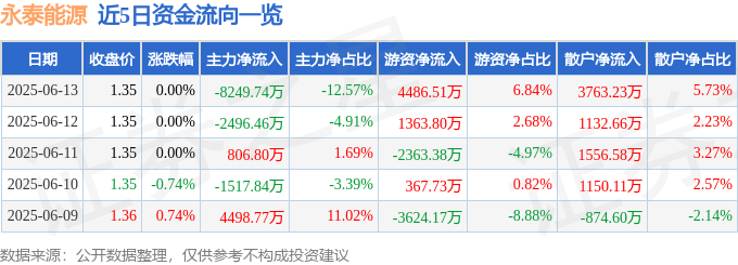 股票行情快报：永泰能源（600157）6月13日主力资金净卖出8249.74万元