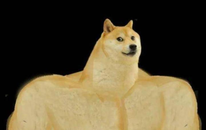 doge是什么意思(doge是什么意思表情) doge是什么意思(doge是什么意思表情)