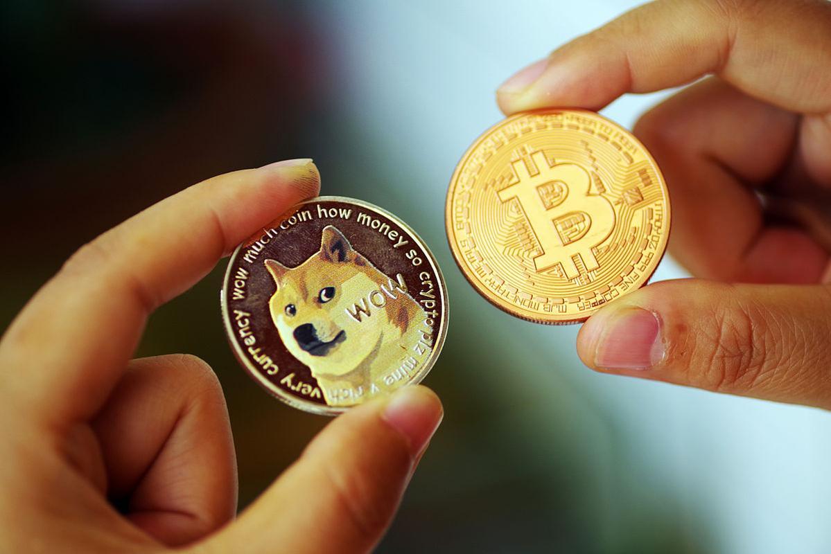 shib币前景(shib币前景怎么样)